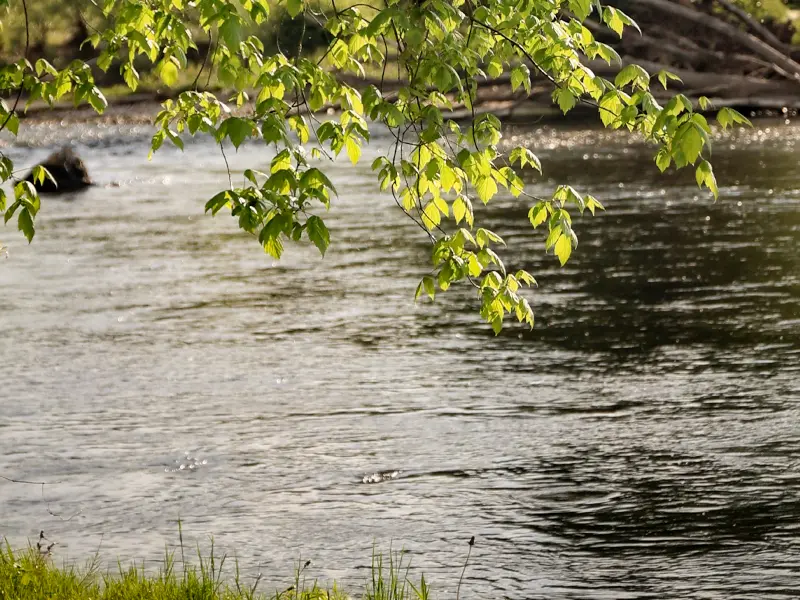 Camping am Flussufer in der Ardèche